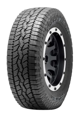 FALKEN Wild Peak A/T AT3WA 3PMSF 265/70 R16 112H