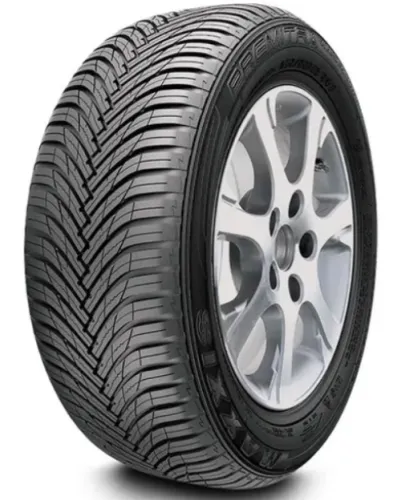 MAXXIS PREMITRA ALL SEASON AP3 235/65 R19 109V